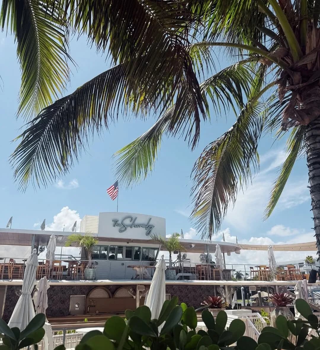 The Shorely by day, with palms along the marina